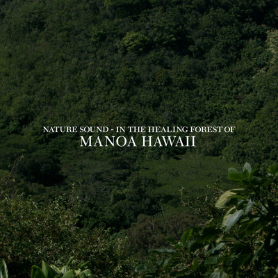 シングル/Nature sound - 癒しの森 マノア ハワイ/Deep Nature Recordings