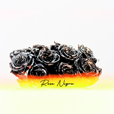 Rosa Negra (Explicit)/Waze