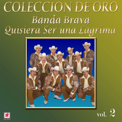 Coleccion De Oro, Vol. 2: Quisiera Ser Una Lagrima/Banda Brava