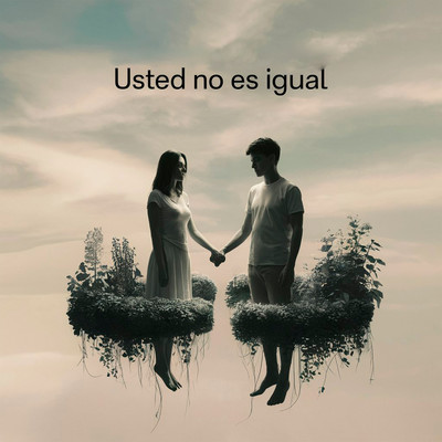 シングル/Usted no es igual/El Aretes Fulano