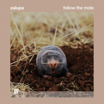 シングル/Follow The Mole/Zalupa