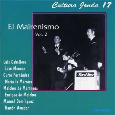 Cultura Jonda XVII. El Mairenismo Vol. II/Various Artists