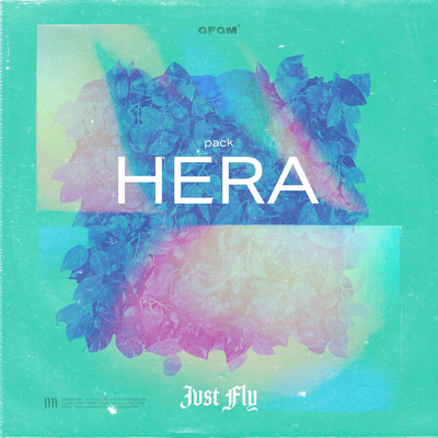 Pack Hera/Jvst Fly