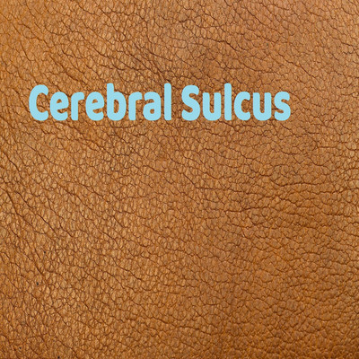 Cerebral Sulcus/Babinski age