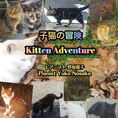 猫の街ののどかな一日〜断章作品10番/野坂優子
