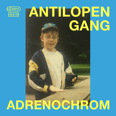 Pack It Up/Antilopen Gang