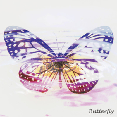 Butterfly(Single)/NANOSCALE
