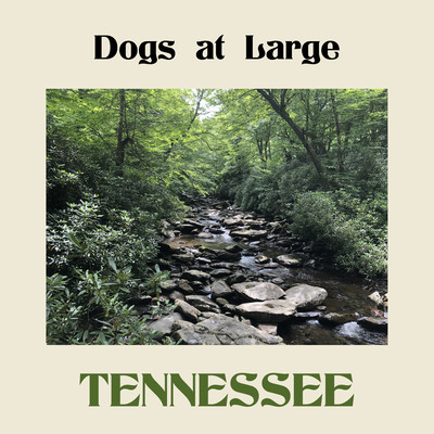 Tennessee/Dogs at Large