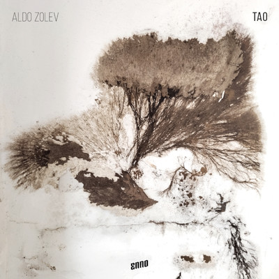 Los sapos salen a caminar (Tao de la tierra: Lo blanco y lo firme)/Aldo Zolev