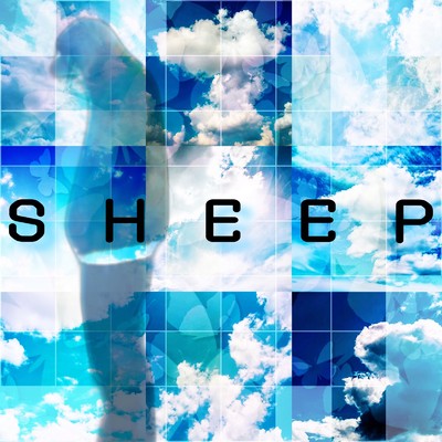 sheep/前田大介