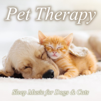 Pet Therapy Sleep Music for Dogs&Cats 川の音、森の音、鳥のさえずりの音と 癒しのオルゴールで猫ちゃん、ワンちゃんぐっすりのペット用睡眠音楽/睡眠音楽おすすめTIMES