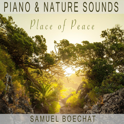 アルバム/Place of Peace (Piano & Nature Sounds)/Samuel Boechat