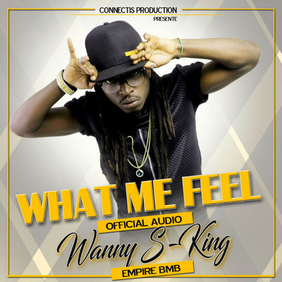 シングル/What Me Feel/Wanny S-King