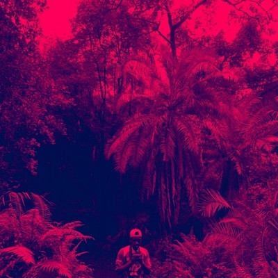 Palm Tree Paradise Falls/MOA／Jake The Dawgg