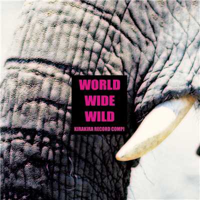 WORLD WIDE WILD/Various Artists