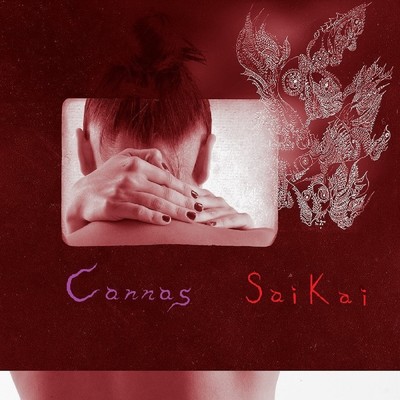 SAIKAI/Cannas