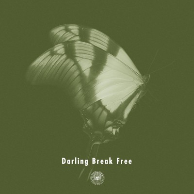 シングル/Darling Break Free (Instrumental)/AmPm