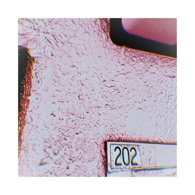 シングル/202 (feat. Kanayo)/山本ちひろ