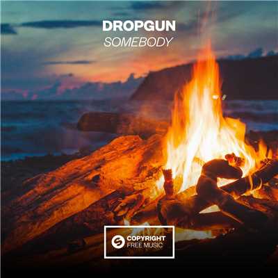 アルバム/Somebody/Dropgun