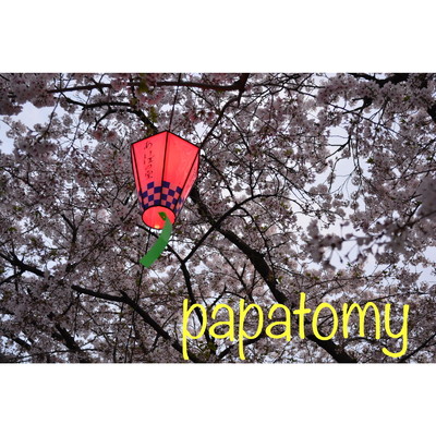 アルバム/papatomy/パパトミー