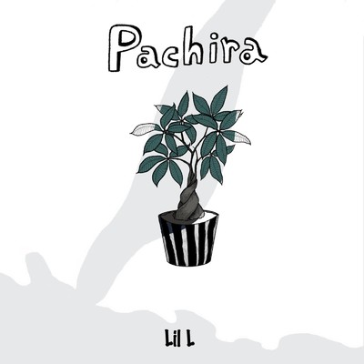 Pachira/Lil L