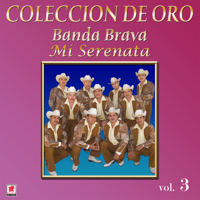 アルバム/Coleccion De Oro, Vol. 3: Mi Serenata/Banda Brava