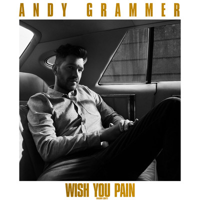 シングル/Wish You Pain (Radio Edit)/Andy Grammer