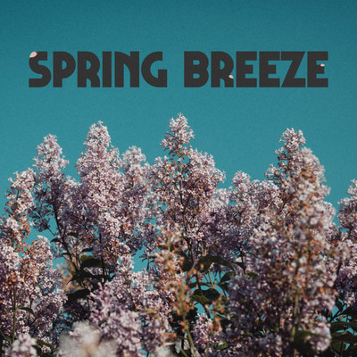 シングル/Spring Breeze/Akase
