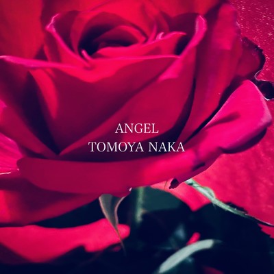 シングル/ANGEL/Tomoya Naka