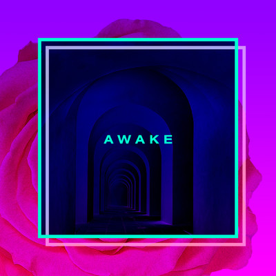 シングル/Awake/New Bleach
