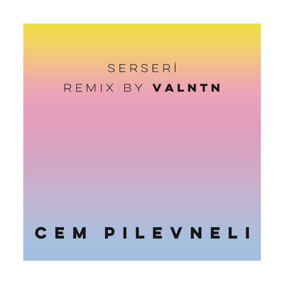 Serseri (VALNTN Remix)/Cem Pilevneli