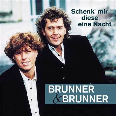 Schenk' mir diese eine Nacht/Brunner & Brunner