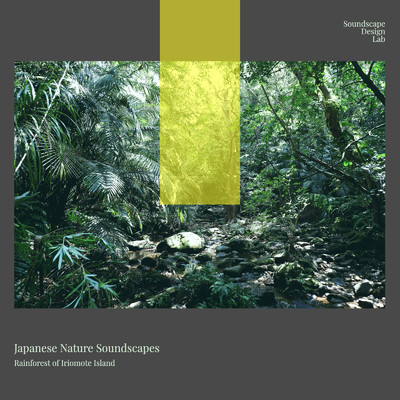 日本の美しい自然音・音風景 西表島の熱帯雨林/SoundscapeDesignLab