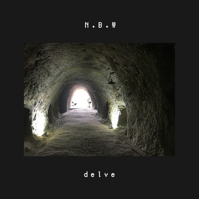アルバム/delve/N.B.W & 花隈千冬