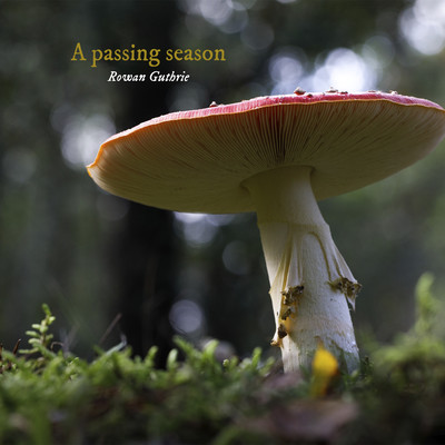 A passing season/Rowan Guthrie