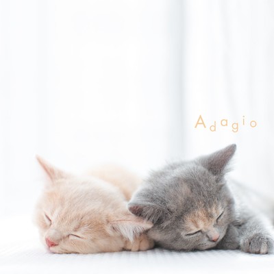 Adagio Op. 11 [vocalise]/The Celtic Tenors