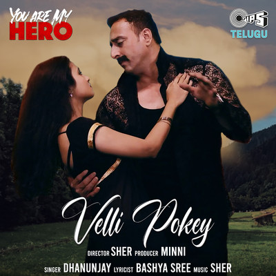 Velli Pokey (From ”You Are My Hero”)/Dhanunjay