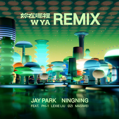 WYA (Remix)/JAY PARK／NINGNING