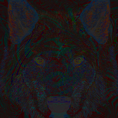 青狗 Wolf/Xamd