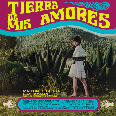 Tierra de Mis Amores (Remaster from the Original Azteca Tapes)/Martin y Lily & Mariachi Azteca