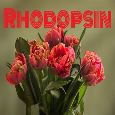 アルバム/Rhodopsin/Pain associate sound
