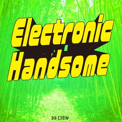 Electronic Handsome/BB CREW