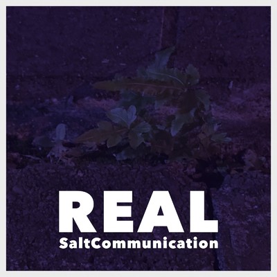 シングル/REAL/SALT COMMUNICATION