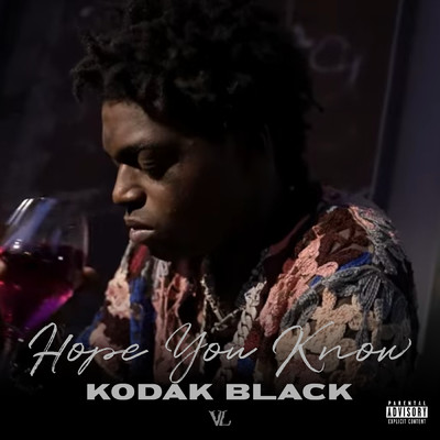 シングル/Hope You Know (Explicit)/Kodak Black