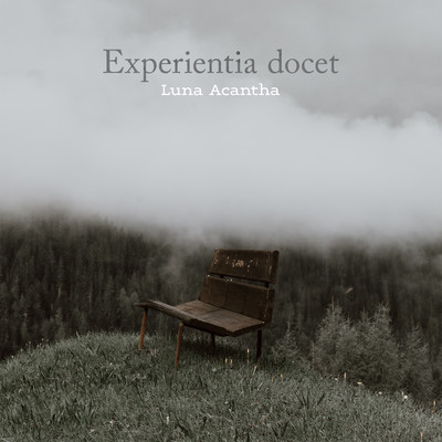 アルバム/Experientia docet/Luna Acantha