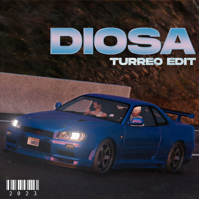 シングル/Diosa (Turreo Edit)/Ganzer DJ