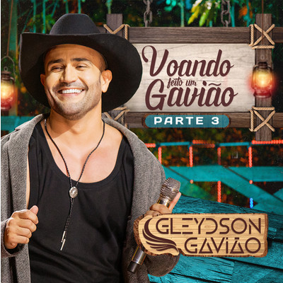 アルバム/Voando Feito Um Gaviao, Pt. 3/Gleydson Gaviao
