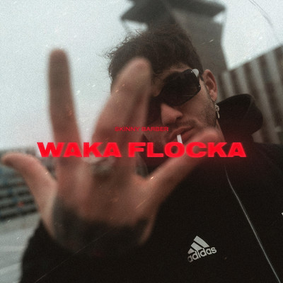 Waka Flocka (Explicit)/SKiNNY BARBER