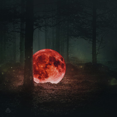 Red Moon: The Piano Forest/Maktub