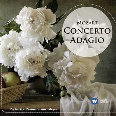 シングル/Flute Concerto No. 1 in G Major, K. 313: II. Adagio ma non troppo/Samuel Coles／English Chamber Orchestra／Yehudi Menuhin